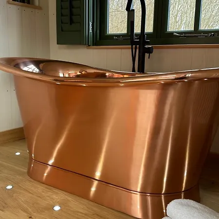 מלון Gisborough Hall 4*