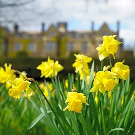 Gisborough Hall Hotel