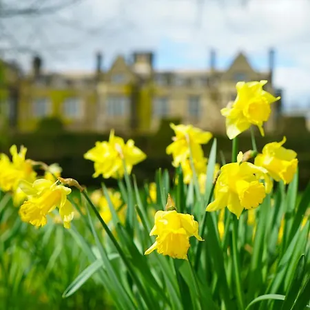 Gisborough Hall Country House Hotel & Spa 4*