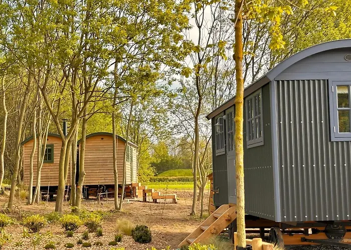 酒店 吉斯伯勒礼堂酒店 4*