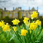 Gisborough Hall 4*